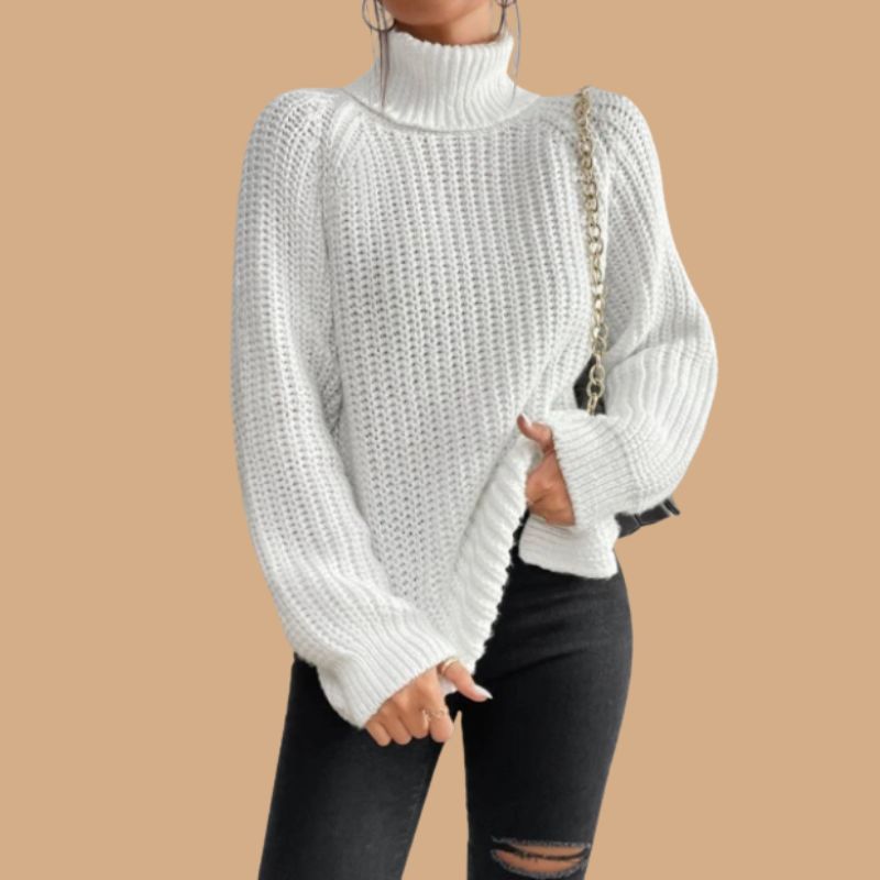Women’s Jumper with Roll Neck and Ribbed Knit